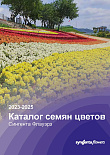 СИНГЕНТА цветочные культуры 2023-2025